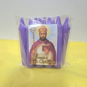 a69c107a 9cc8 47f9 9936 c6154e196d74(1)